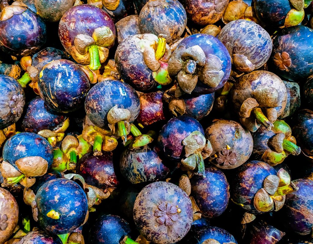 Thailand mangosteen fruit