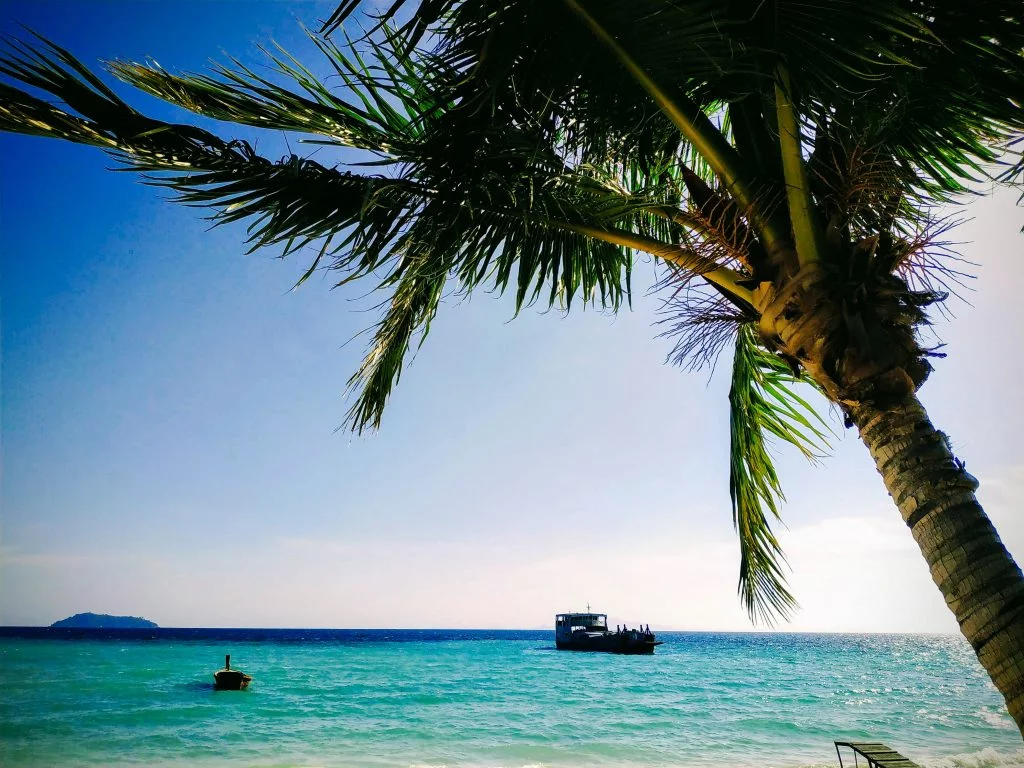 Palm trees and boat at Laem Tong Beach on Koh Phi Phi Island Thailand