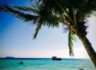 Palm trees and boat at Laem Tong Beach on Koh Phi Phi Island Thailand