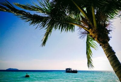 Palm trees and boat at Laem Tong Beach on Koh Phi Phi Island Thailand