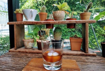 Cold brew coffee and cactus at Stand Alone Coffee bar