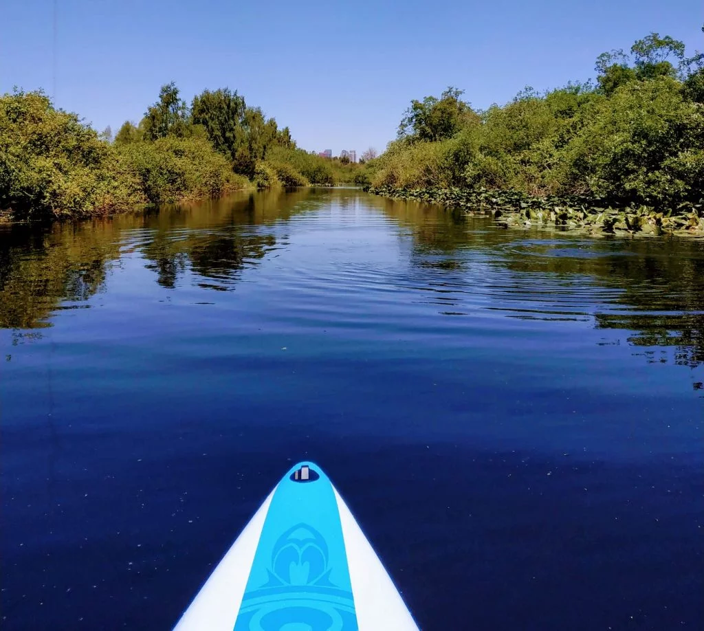 Paddleboarding in the mercer slough