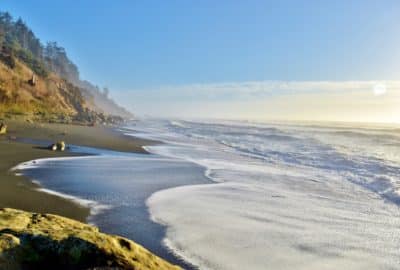 View of beach on the Olympic coast