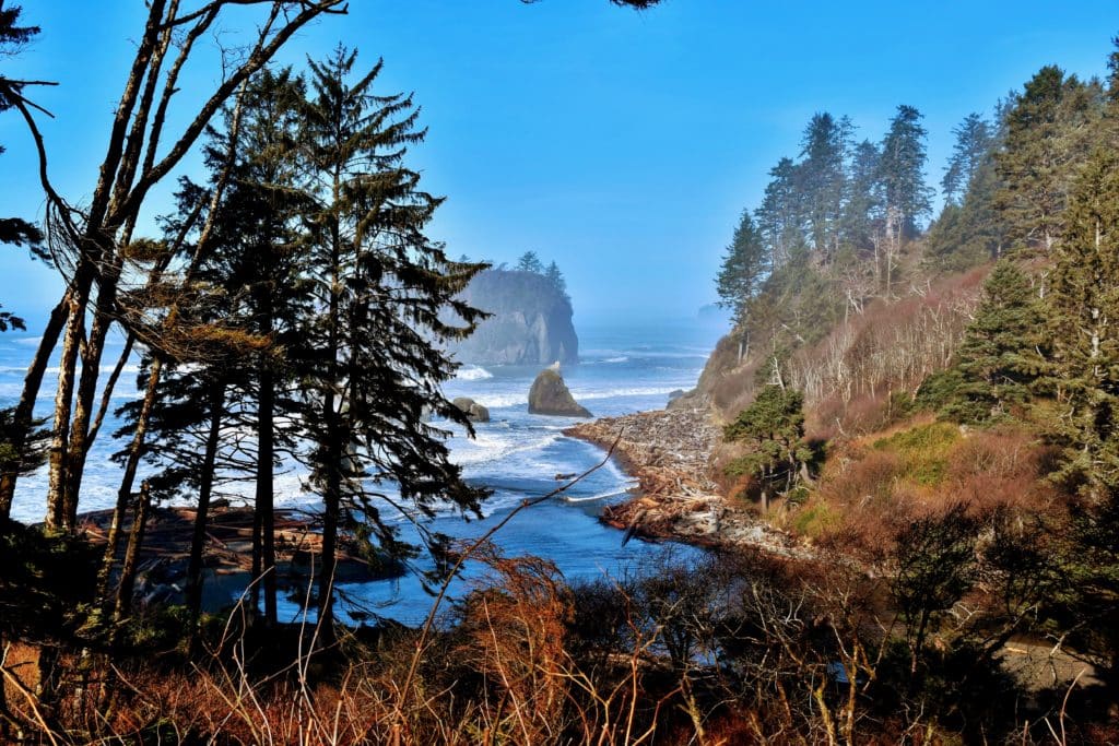 Ruby Beach on Olympic Coast at high tide covered in water