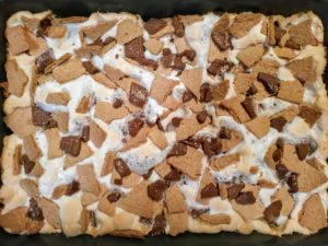 baking pan of s'mores brownies