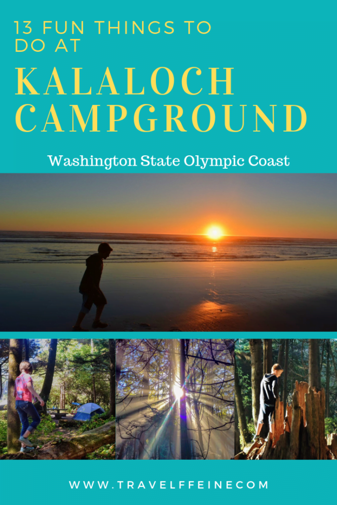 13 Things to Do at Kalaloch Campground