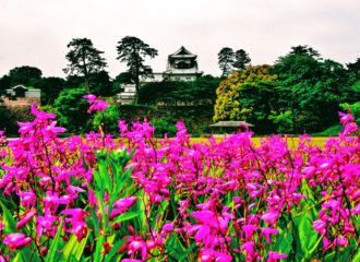 Castle in Kanazawa, Japan with flowers around it