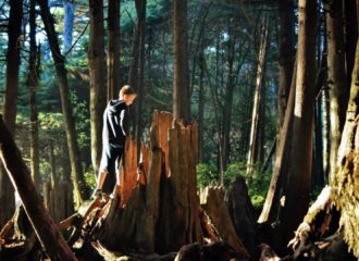 boy looking inside hollow tree