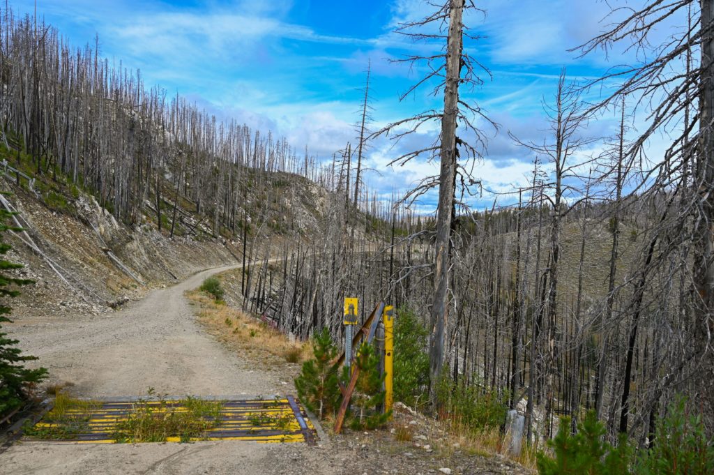 Lone Frank Pass Forest Roads for Off Road WABDR route