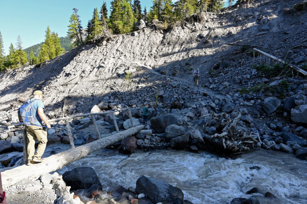 log bridge crossing White River