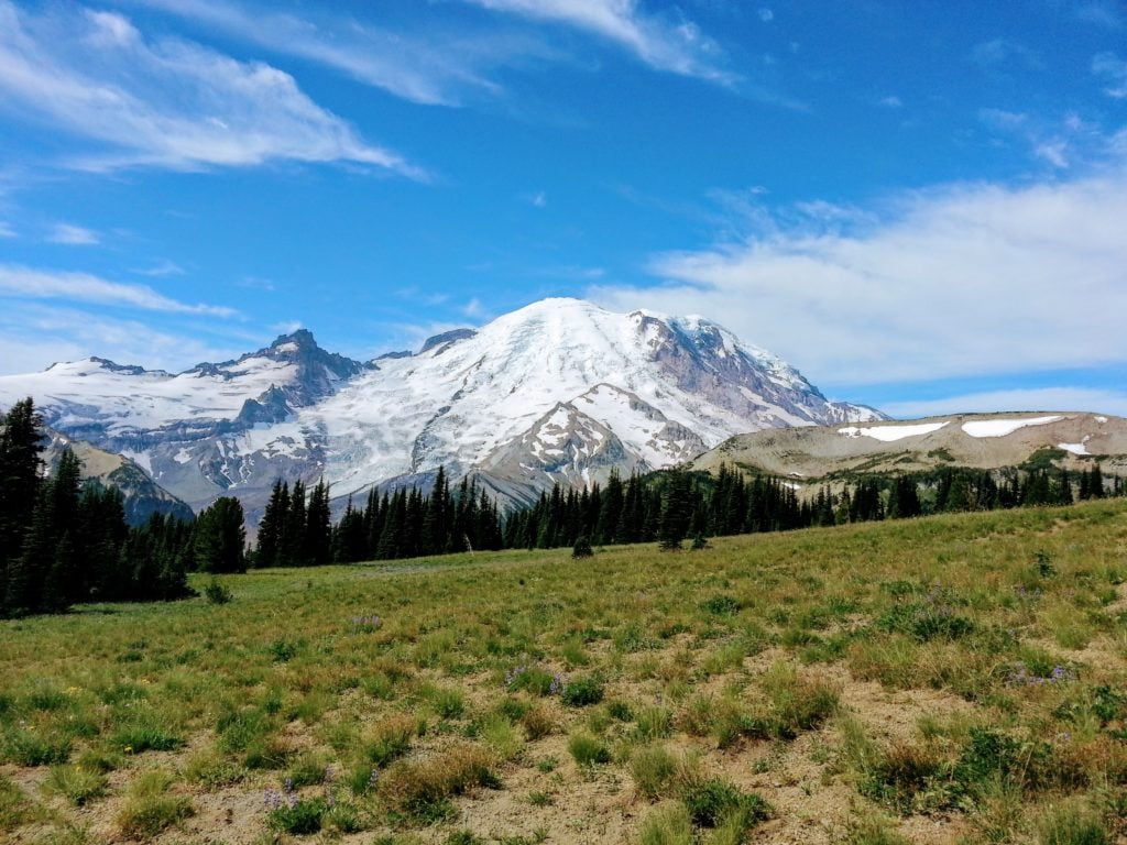 Mt Rainier at Sunrise Visitor Center