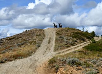 Off Road Motorcycle Riding to Summit of Chumstick Mountain