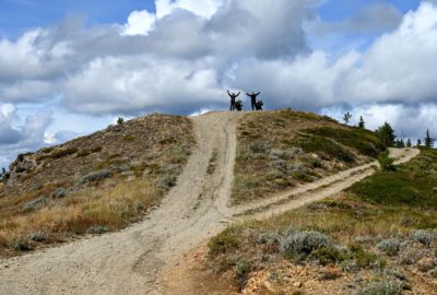 Off Road Motorcycle Riding to Summit of Chumstick Mountain