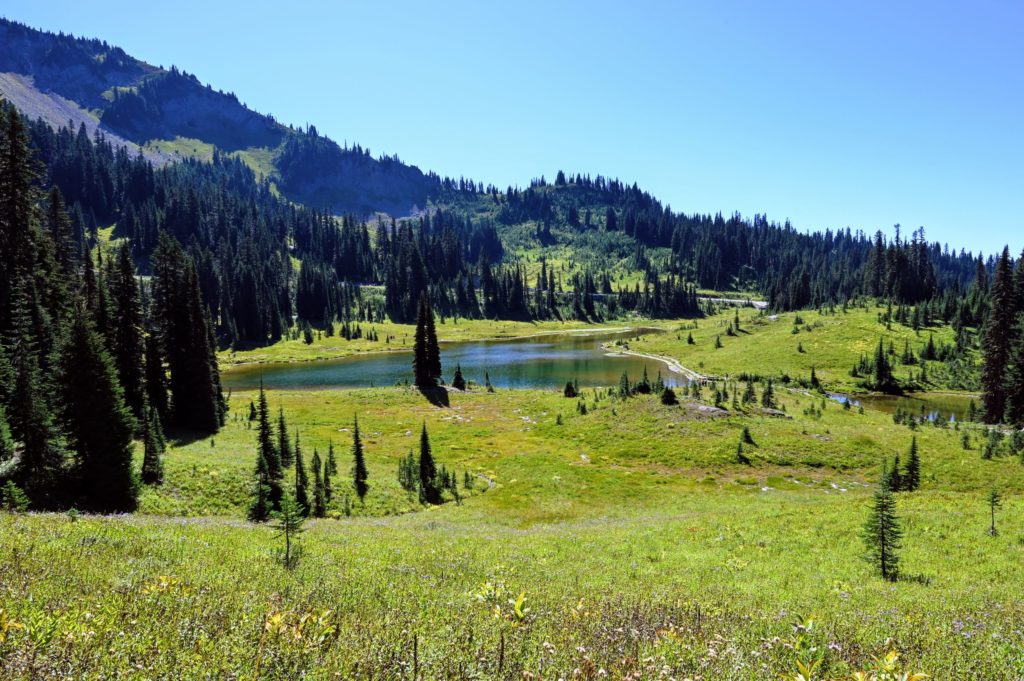 Tipsoo Lake start of Naches Peak Trail