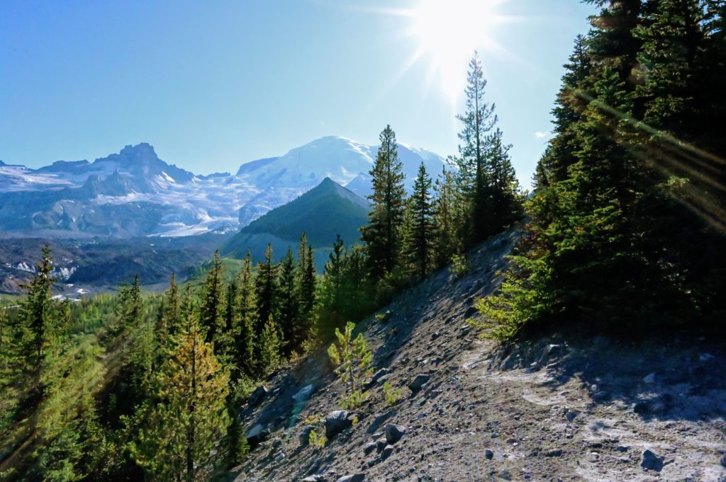 Emmons Moraine Glacier at Mount Rainier