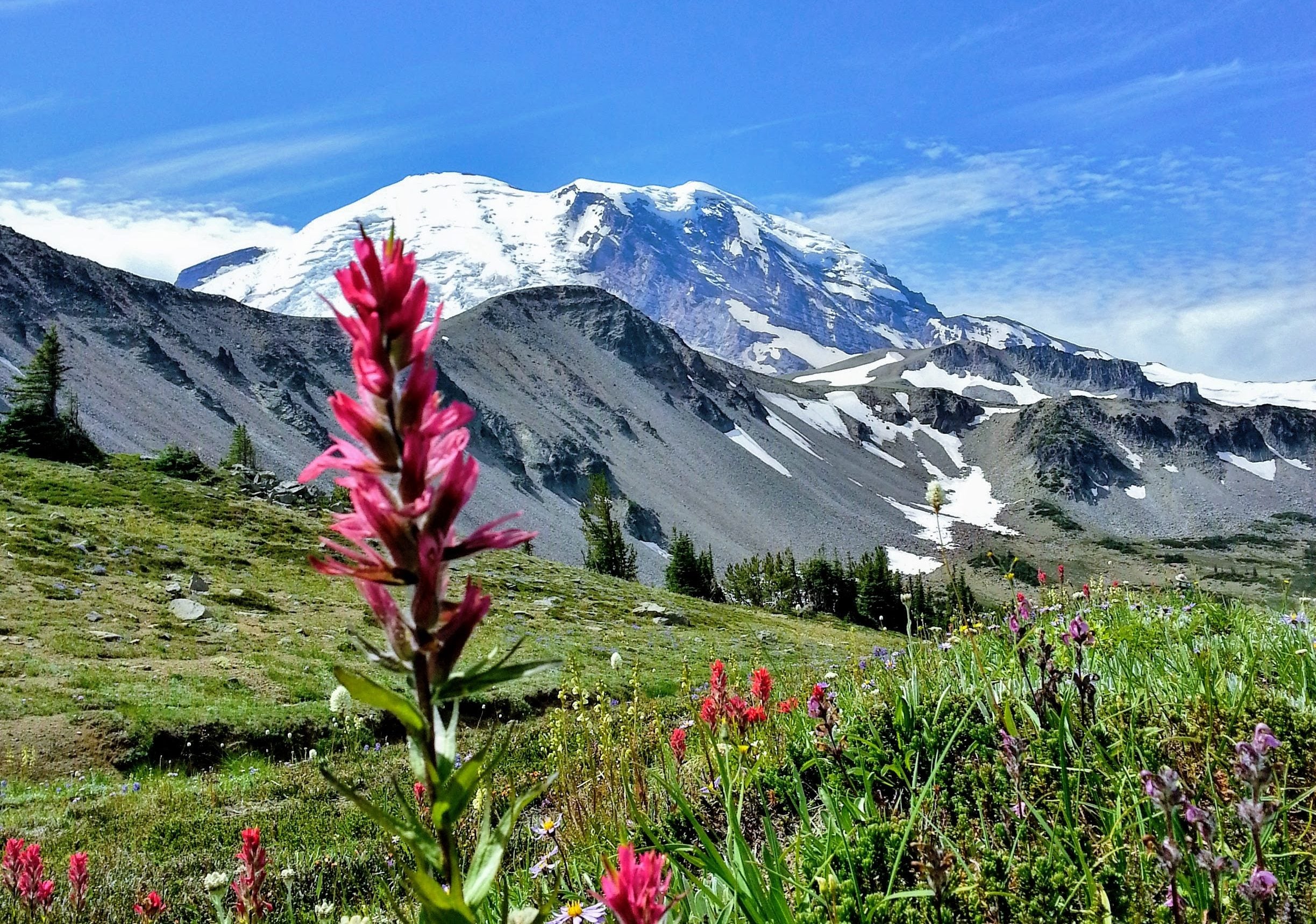 Camp And Hike At White River Campground On Mt Rainier Travelffeine