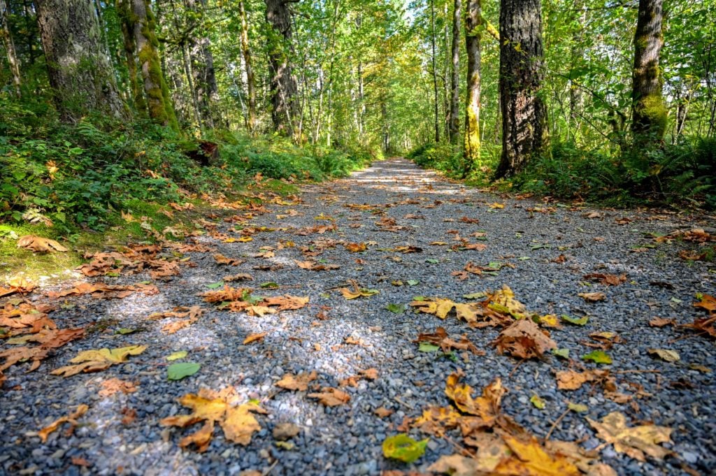 gravel path that leads around Deep Lake