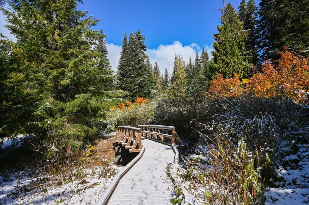 Snowy bridge over Gold Creek