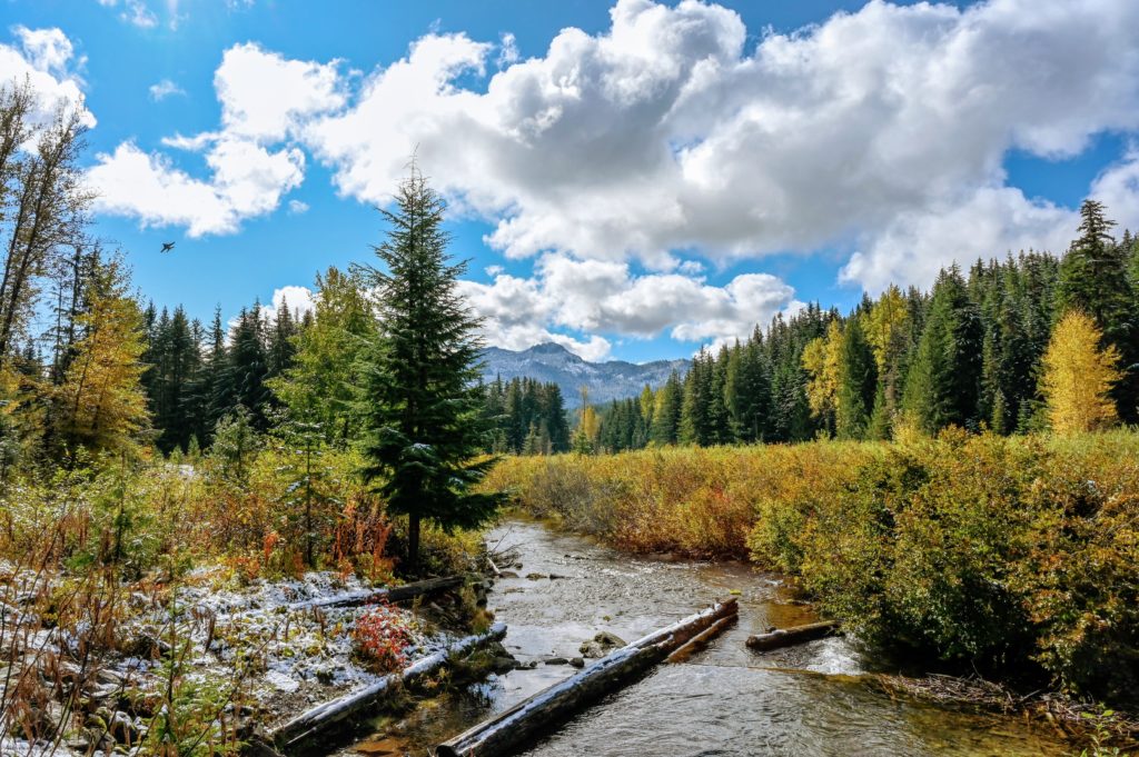 Gold Creek in the fall.