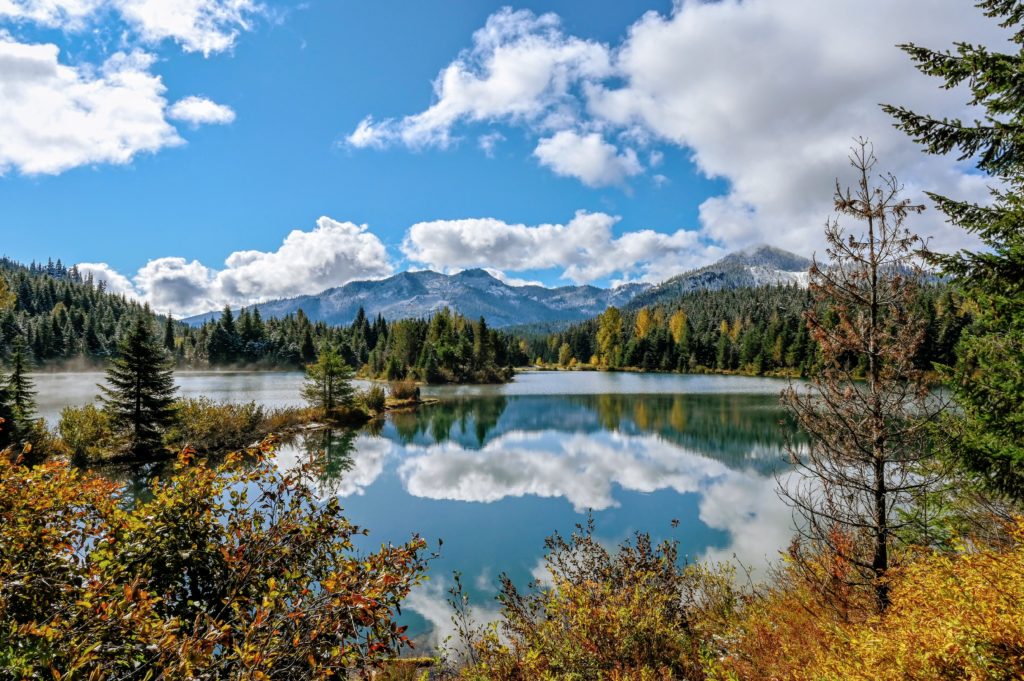 fall colors and reflections in the water of gold creek pond