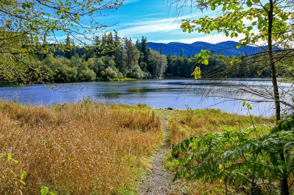 small path leading down to deep lake