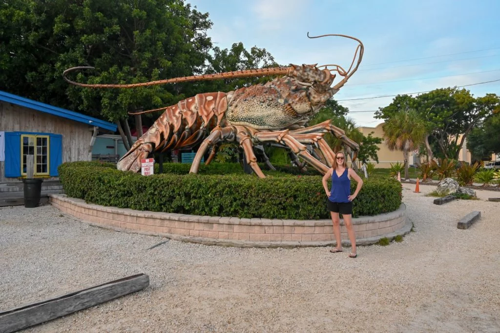 giant lobster in Islamorada Florida