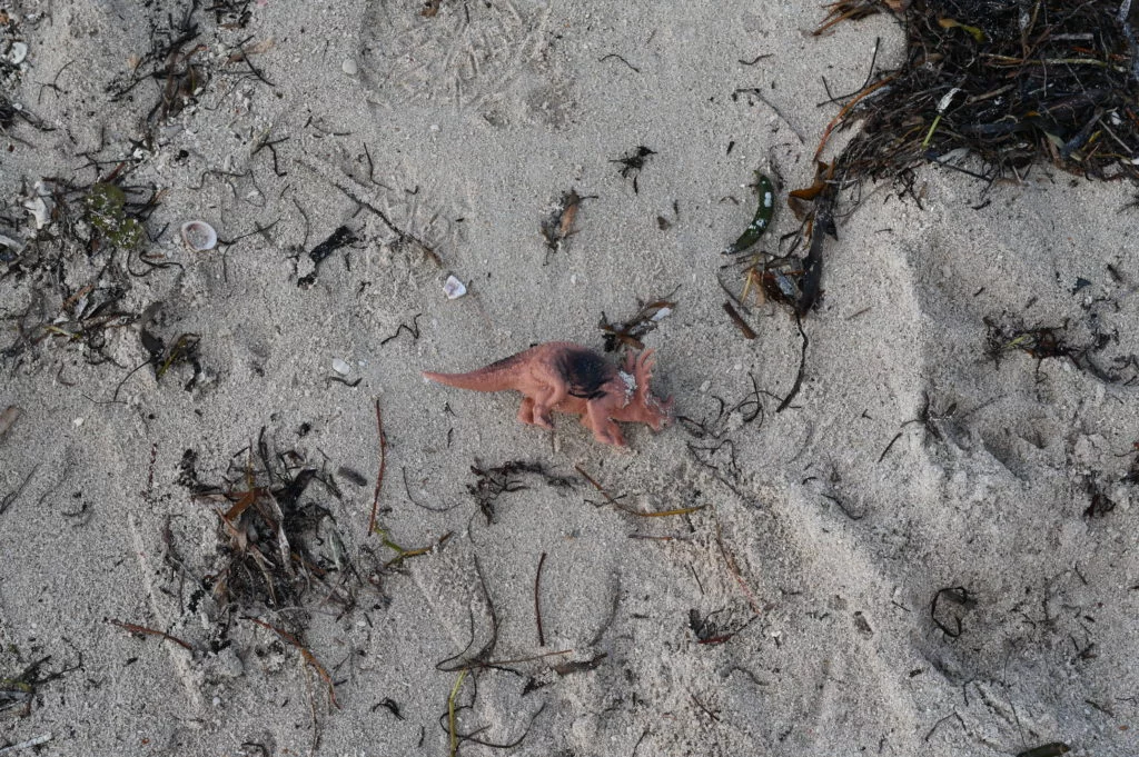 plastic dinosaur on Sombrero Beach in Marathon Florida