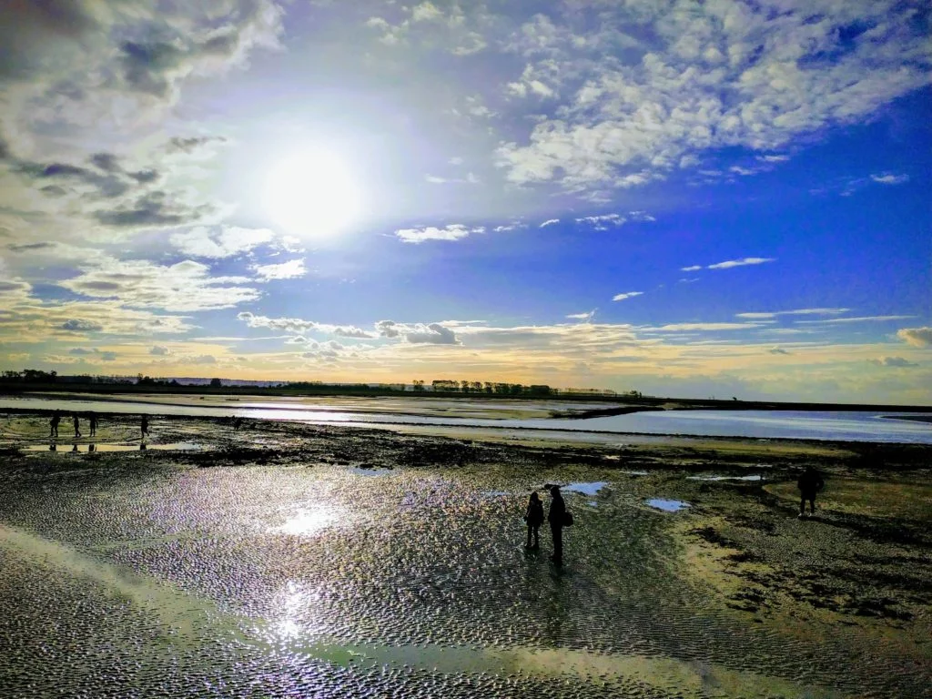 mont-saint-michel bay at low tide