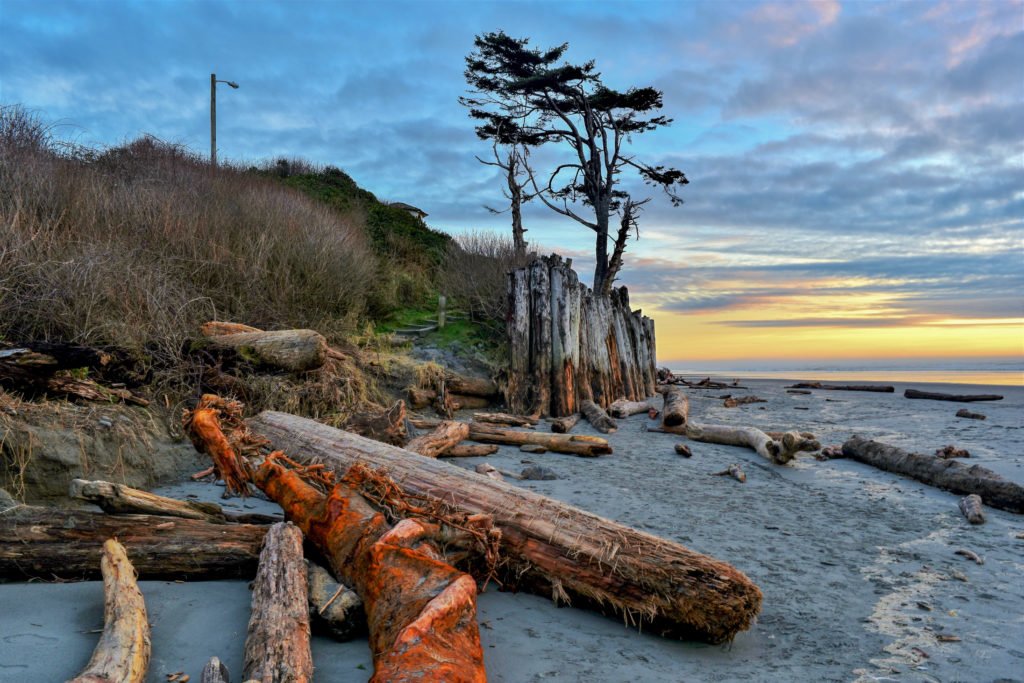 Beach at Kalaloch Lodge