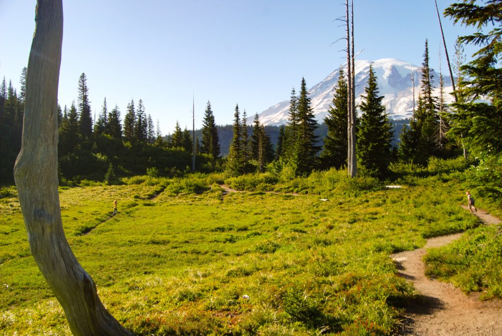 Mt Rainier hike