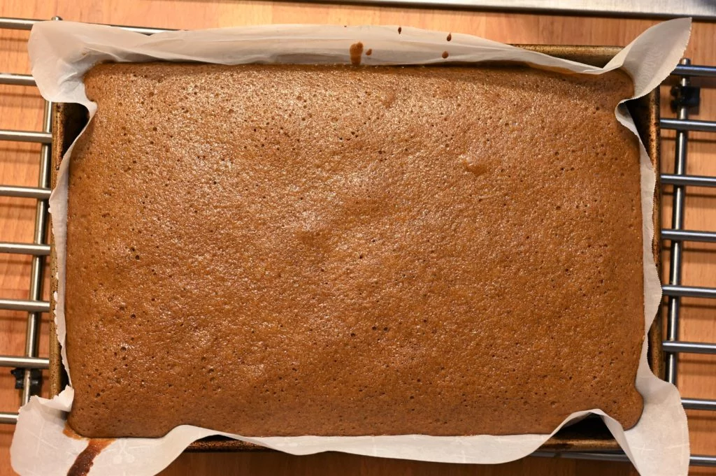 single layer of cake baked