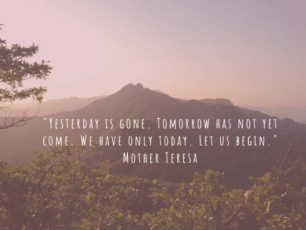 quote from mother Teresa seize the day