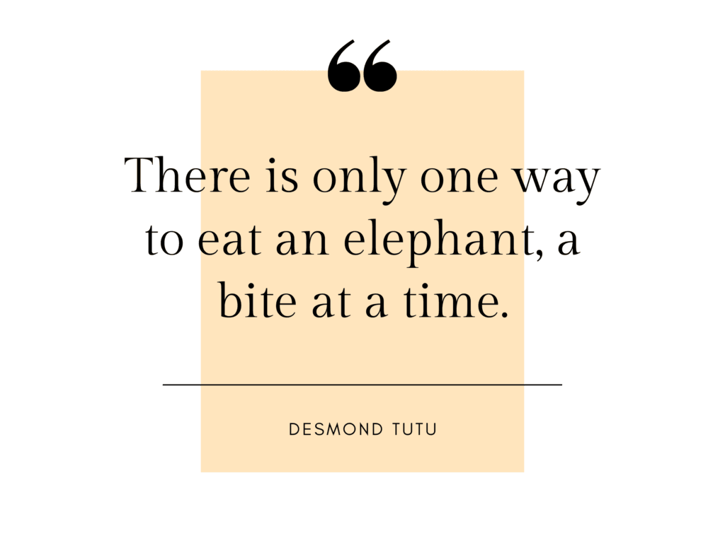 only one way to eat an elephant quote