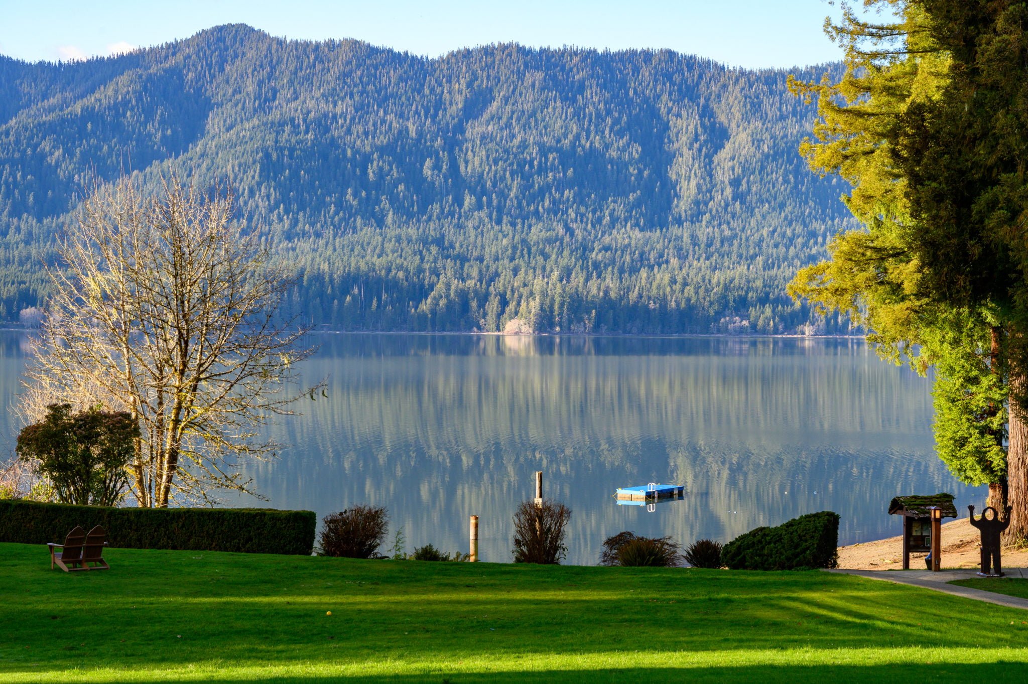 Lake Quinault Lodge Your Rainforest Retreat Travelffeine