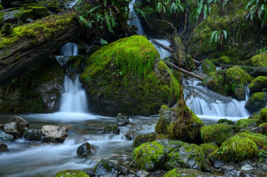 Quinault waterfall