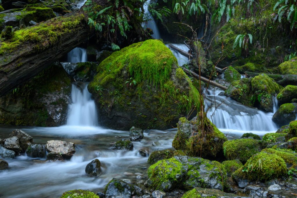 Quinault waterfall