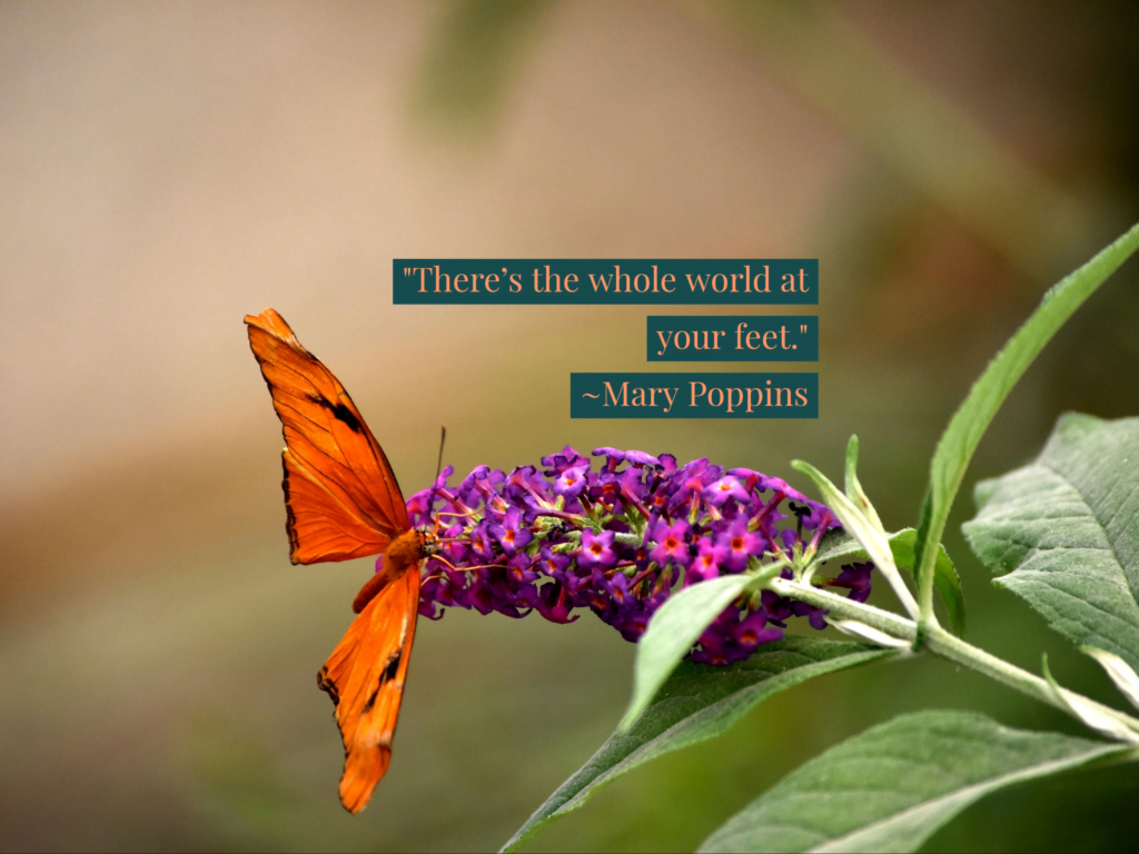 mary poppins quote