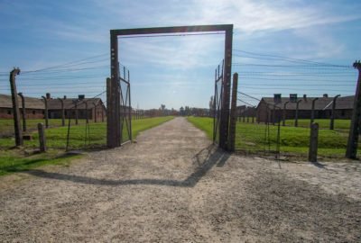 Auschwitz-Birkenau barb wire fence