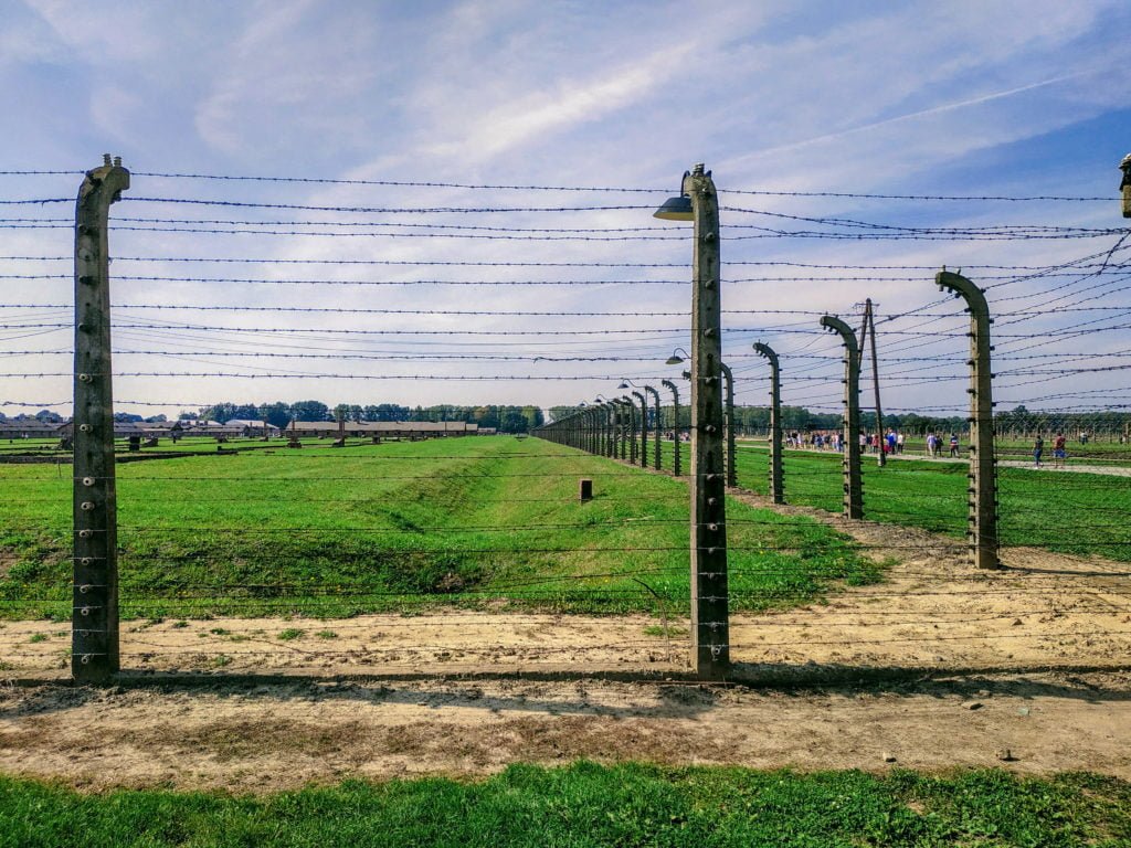 electric barbed wire fences