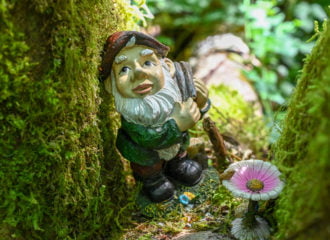 Gnome in a tree on gnome trail