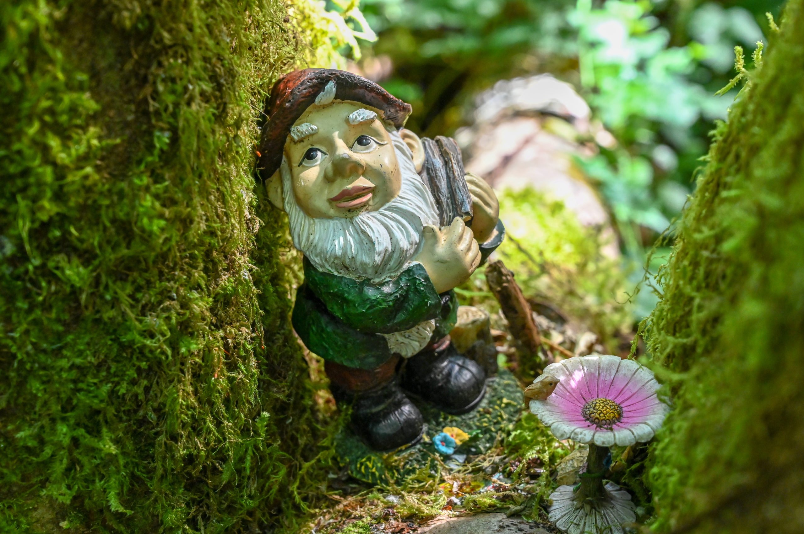 Hiking the Whimsical Gnomes Trail in Maple Valley, WA Travelffeine