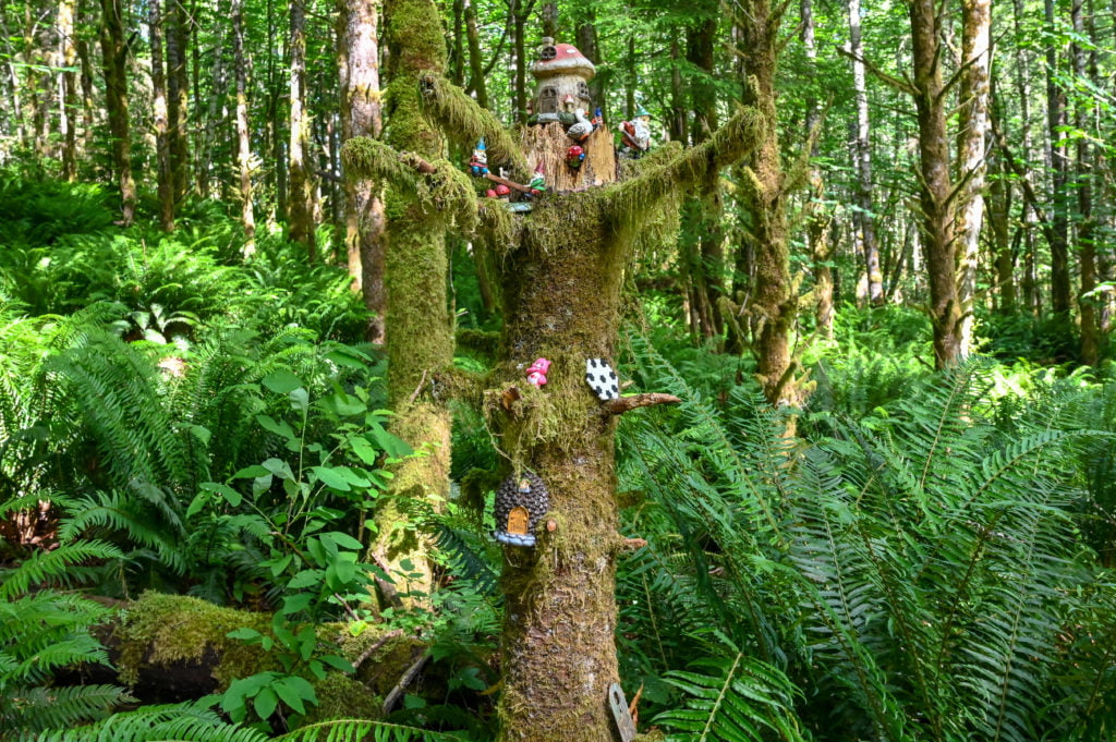 a mossy tree with gnomes on it