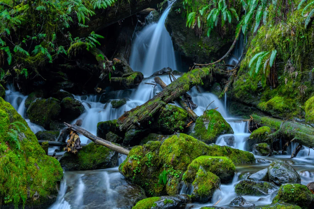 mossy scenery with waterfalls