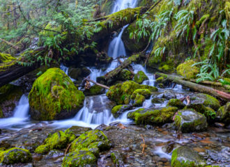 waterfalls and mossy rocks