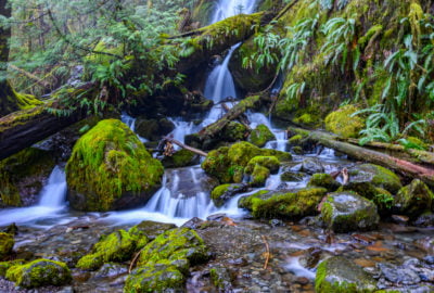 waterfalls and mossy rocks