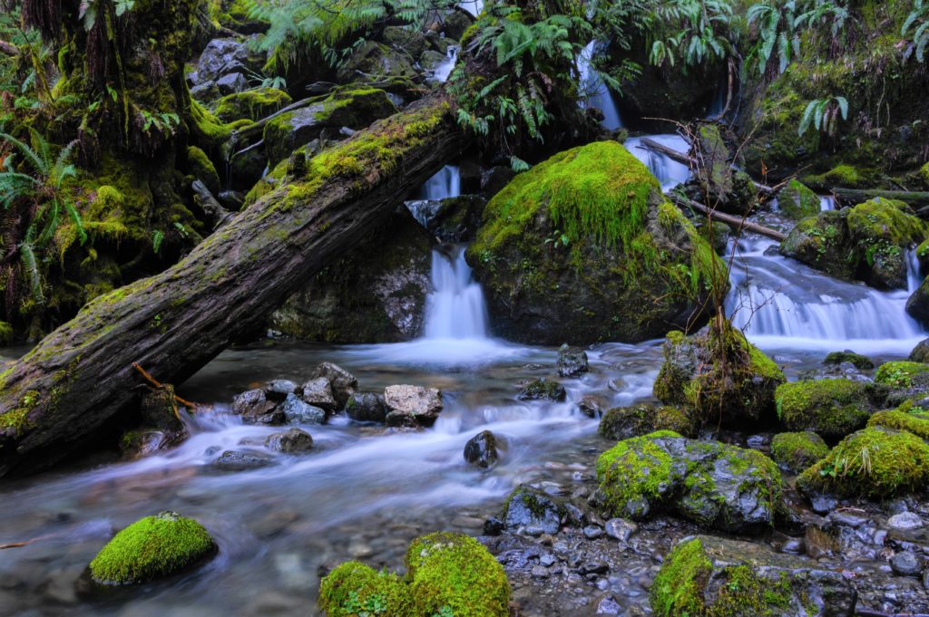 small waterfalls with a stream and mossy rocks