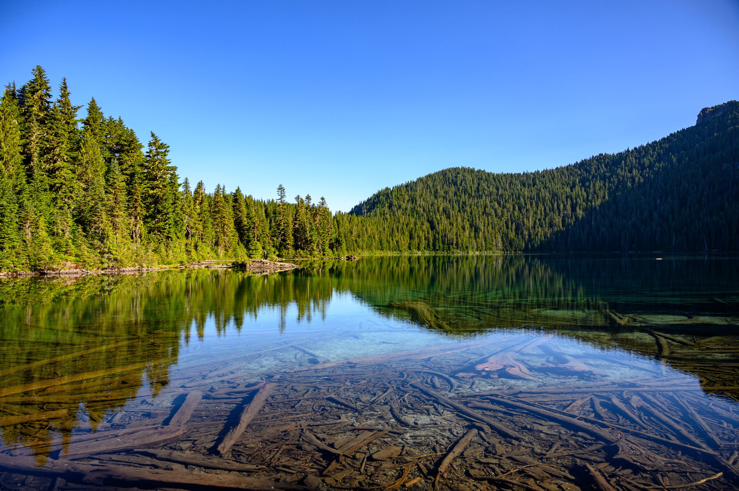 Mowich Lake in the morning.