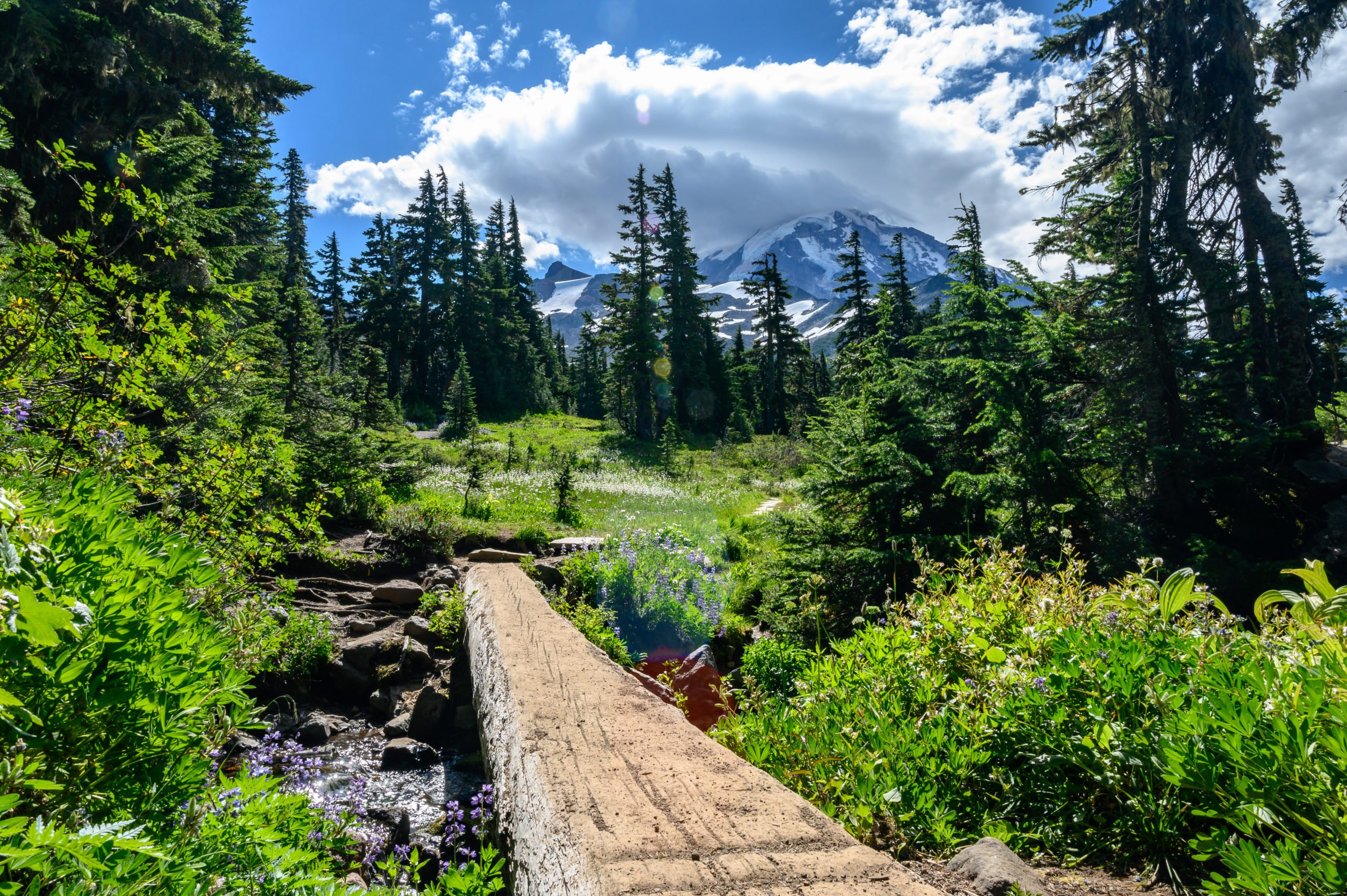 The entrance to Spray Park at Mt Rainier.