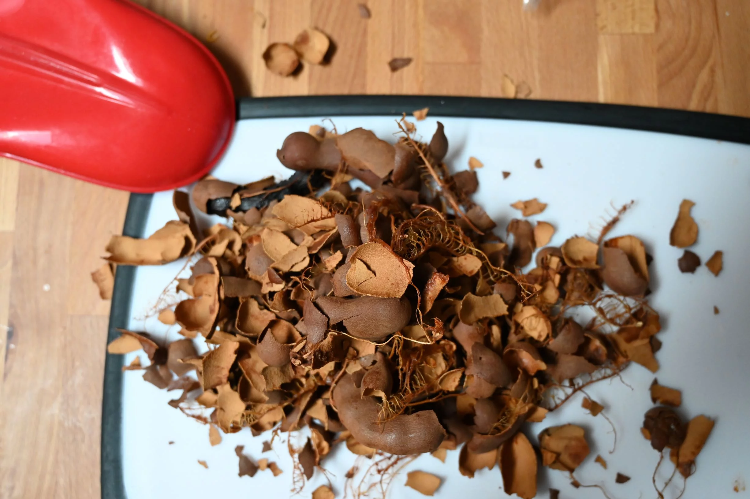 tamarind shells