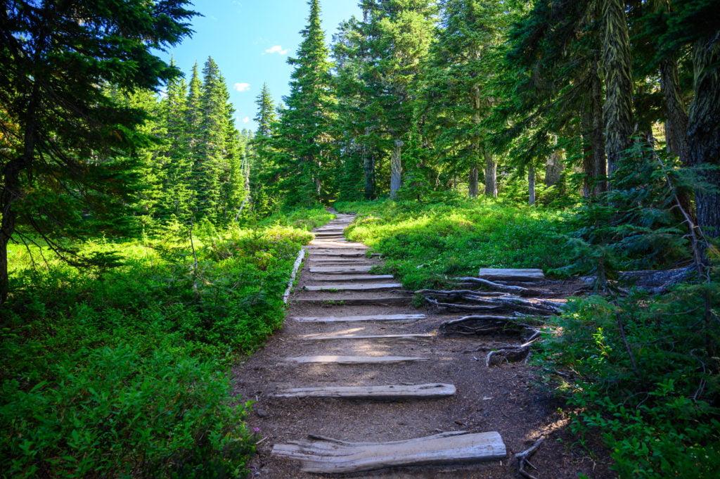 wooded trail spray park trail